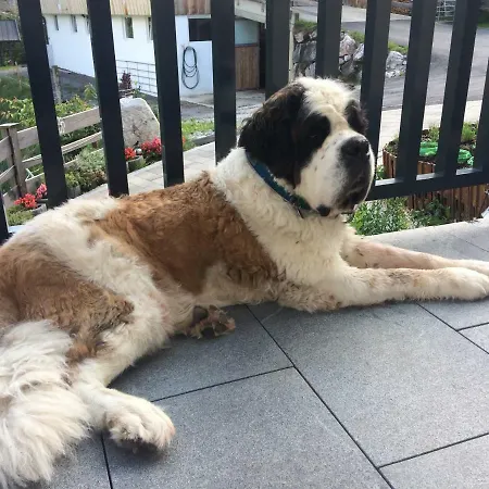 Leitnerhof * 蒂罗尔-基希贝格