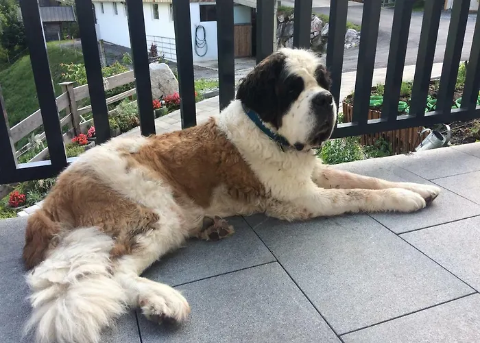 Leitnerhof * كيرشبرغ ان تيرول